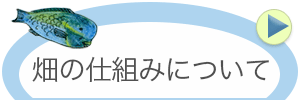 畑の仕組みについて