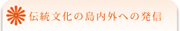 伝統文化の島内外への発信