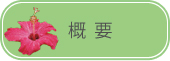 概要
