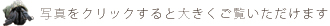 写真をクリックすると大きくご覧頂けます